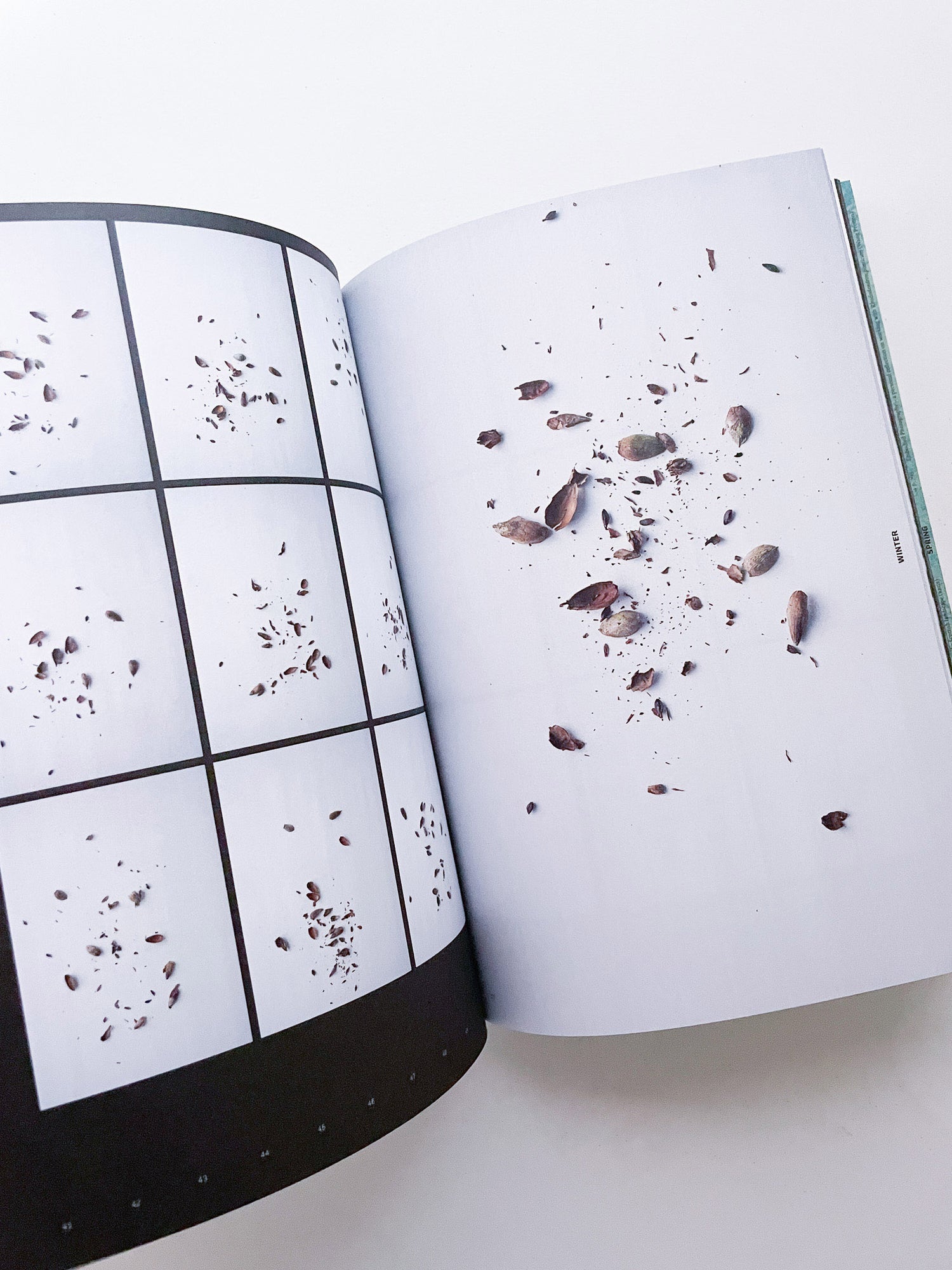 With Love. From an Invader. / Yan Wang Preston