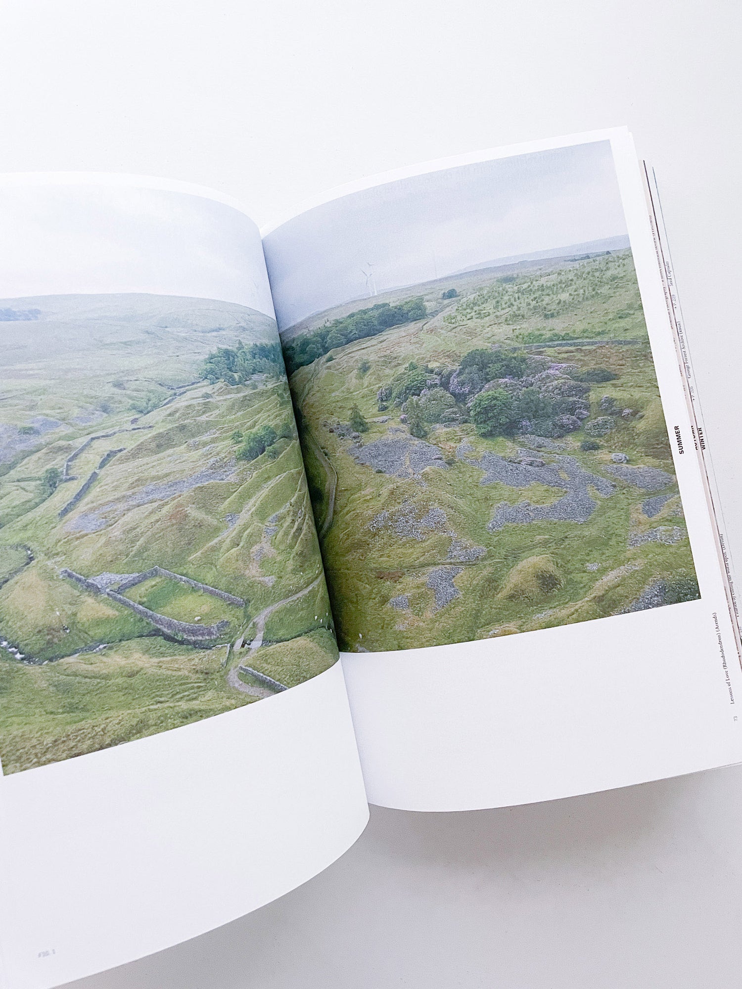 With Love. From an Invader. / Yan Wang Preston