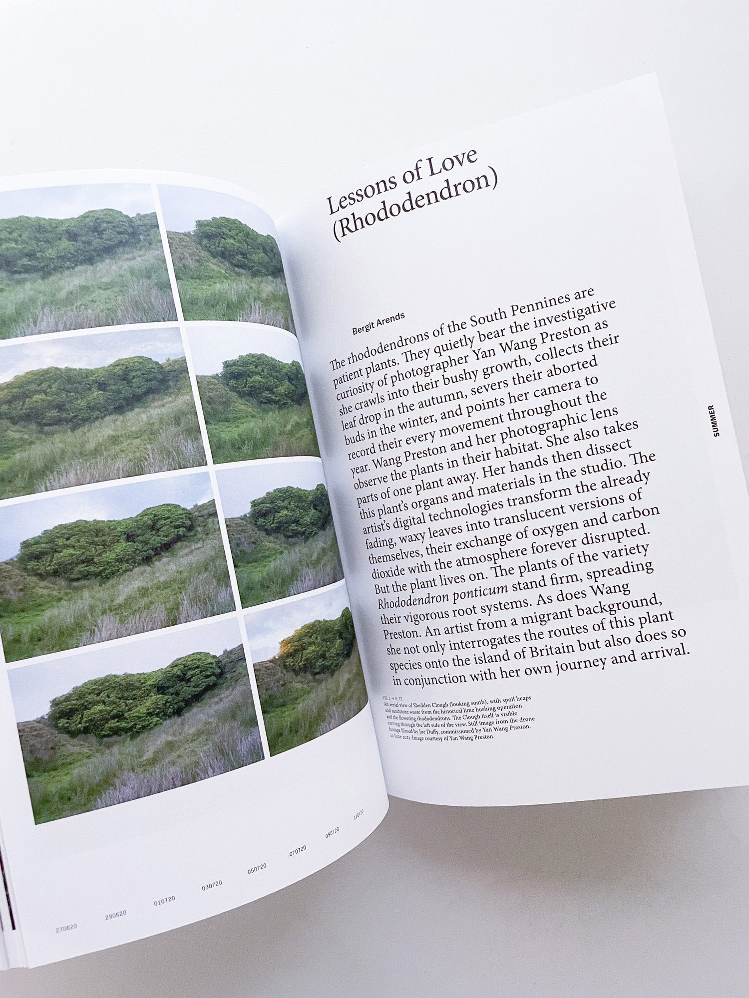 With Love. From an Invader. / Yan Wang Preston