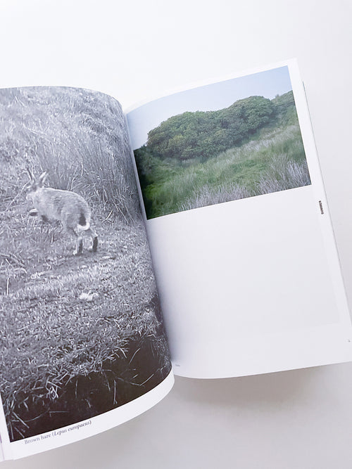 With Love. From an Invader. / Yan Wang Preston