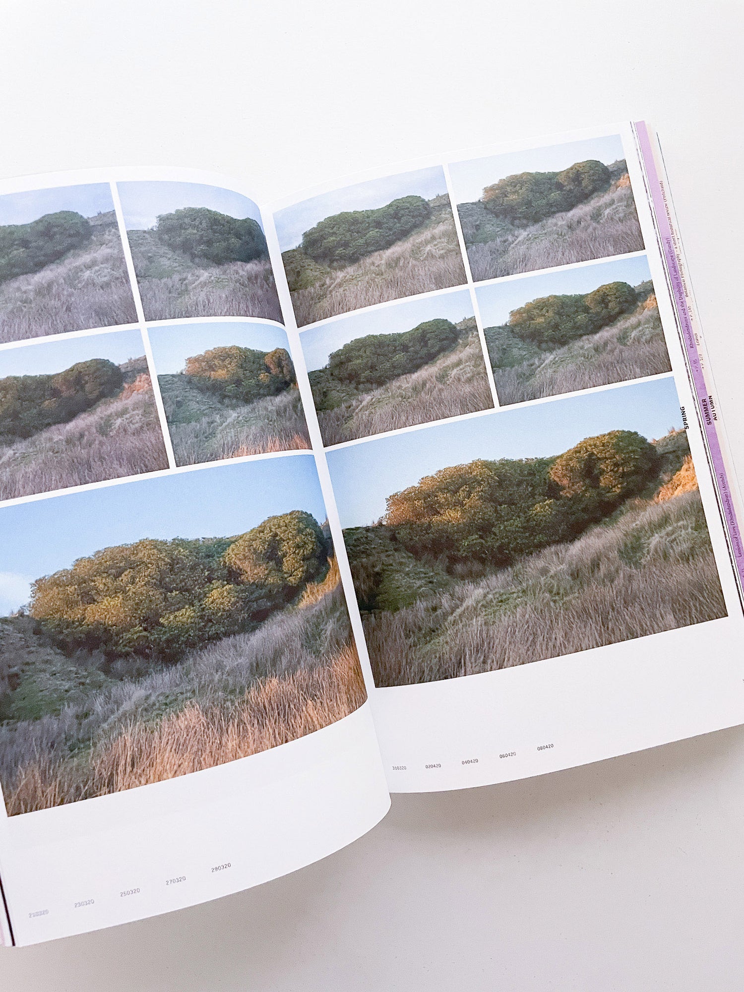 With Love. From an Invader. / Yan Wang Preston