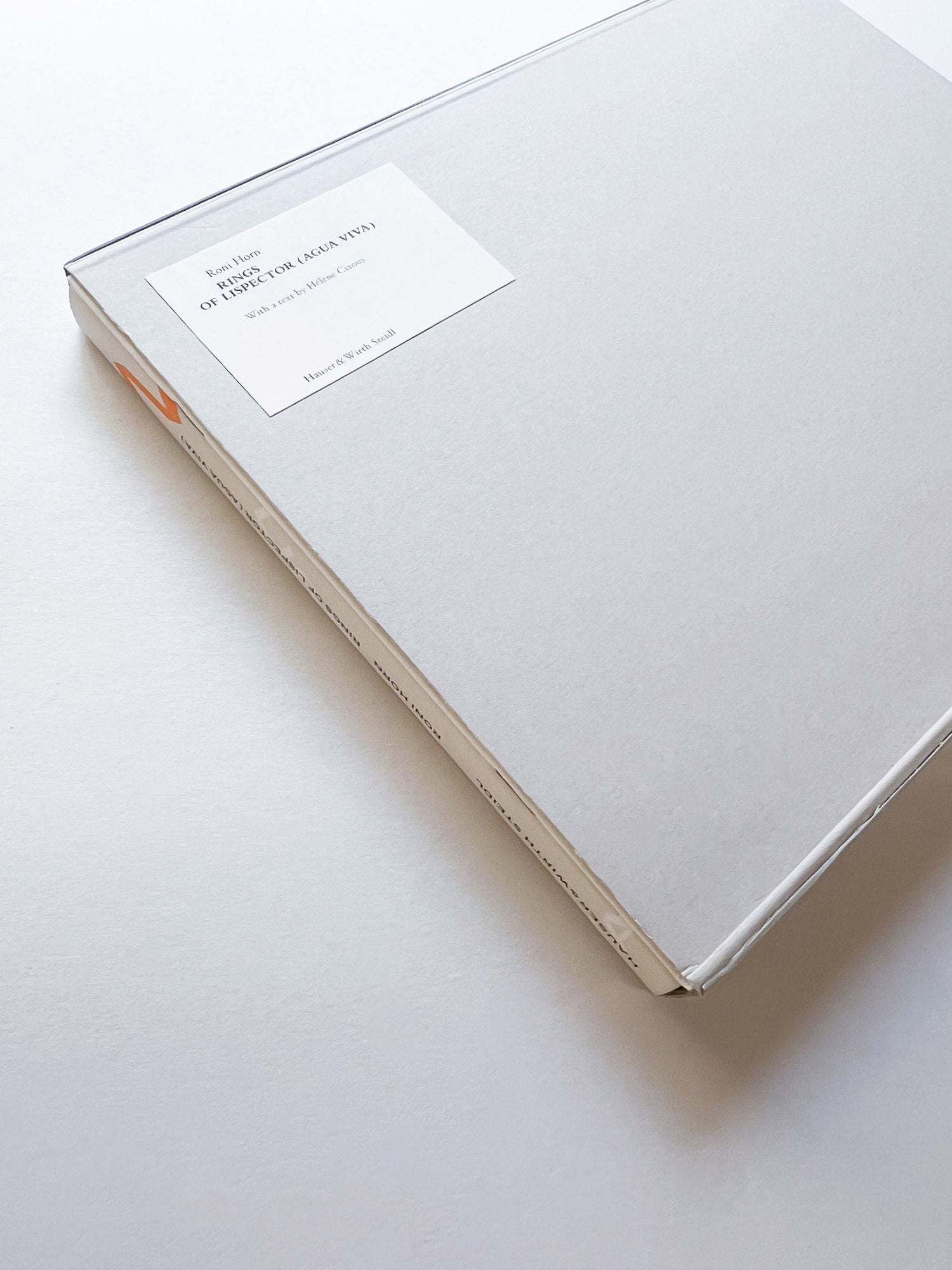 RINGS OF LISPECTOR (AGUA VIVA) / Roni Horn