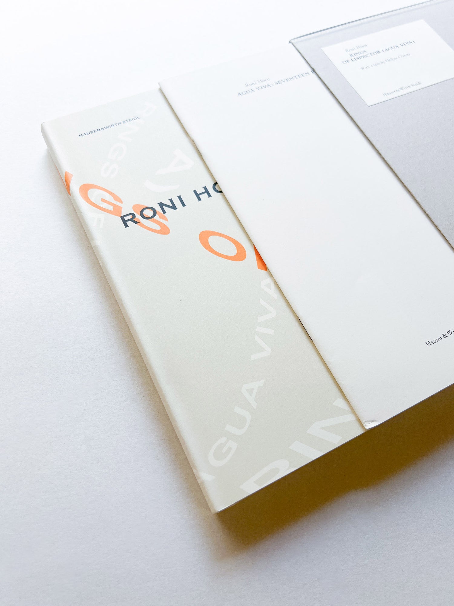 RINGS OF LISPECTOR (AGUA VIVA) / Roni Horn