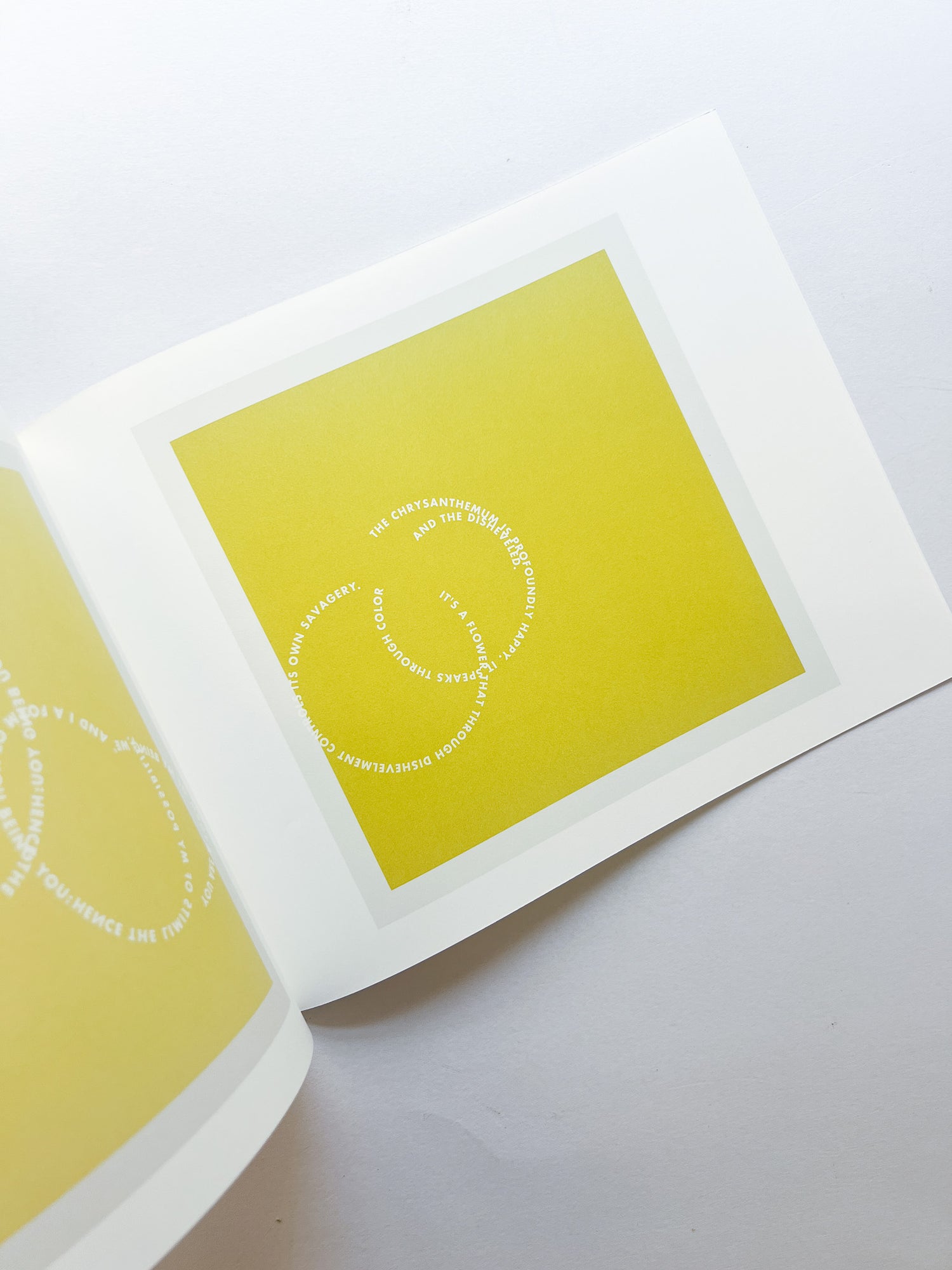 RINGS OF LISPECTOR (AGUA VIVA) / Roni Horn