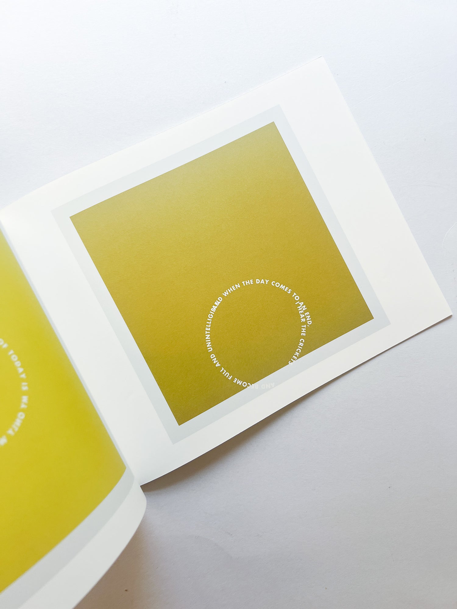 RINGS OF LISPECTOR (AGUA VIVA) / Roni Horn