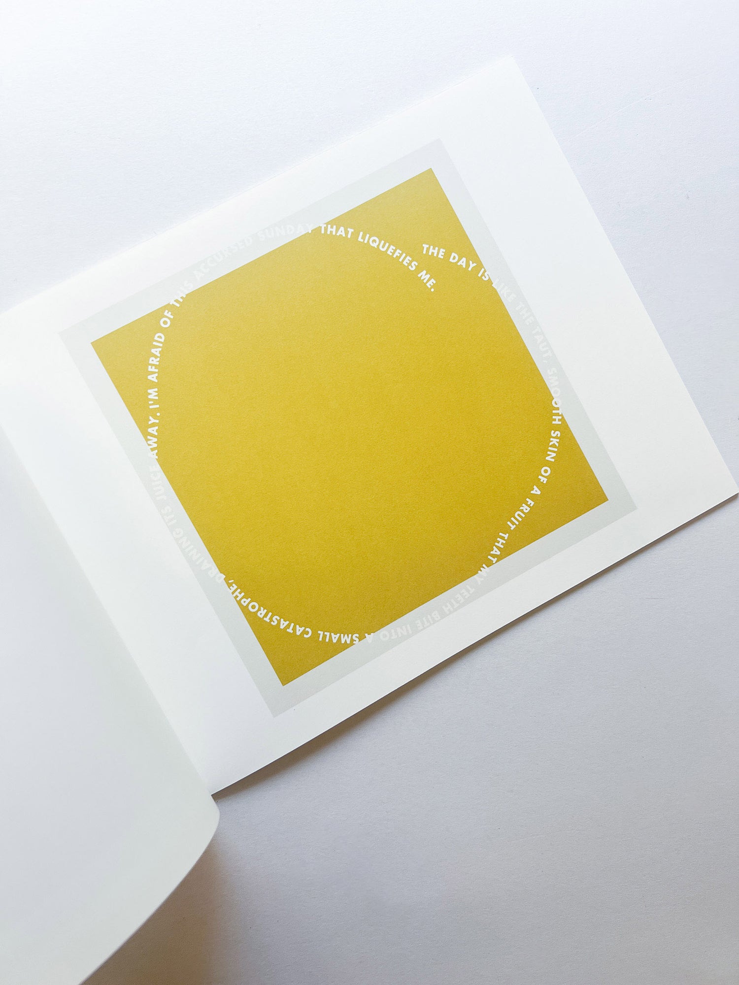 RINGS OF LISPECTOR (AGUA VIVA) / Roni Horn