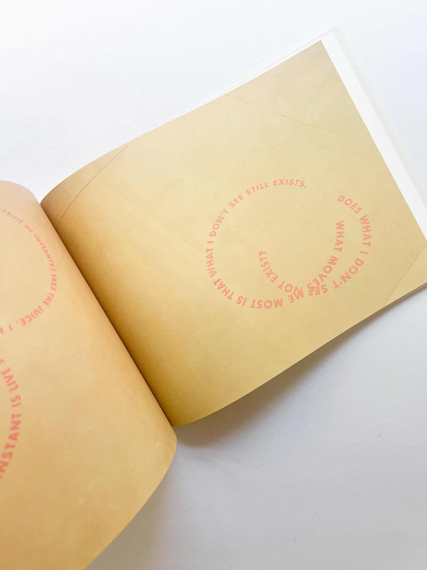 RINGS OF LISPECTOR (AGUA VIVA) / Roni Horn