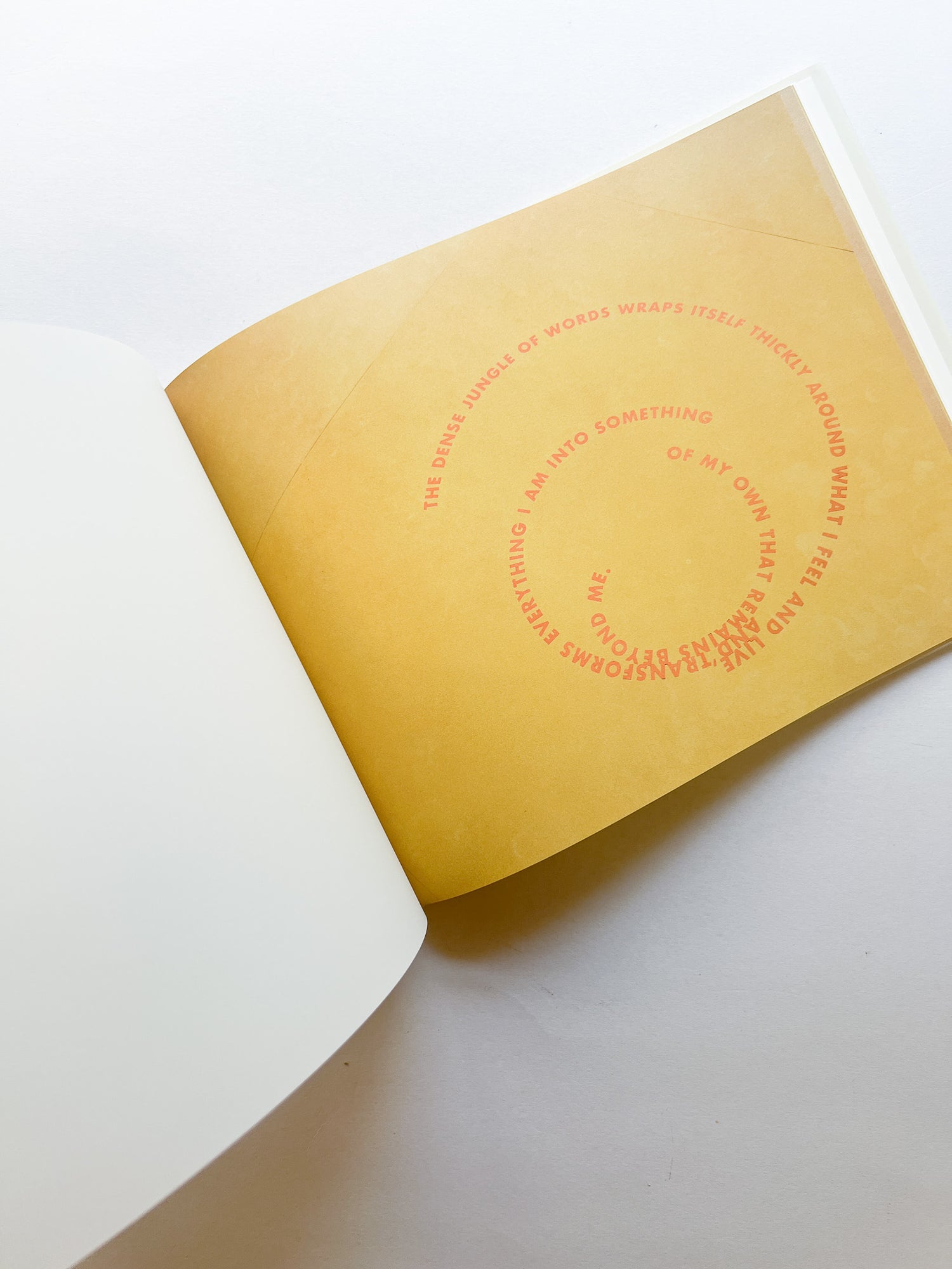 RINGS OF LISPECTOR (AGUA VIVA) / Roni Horn