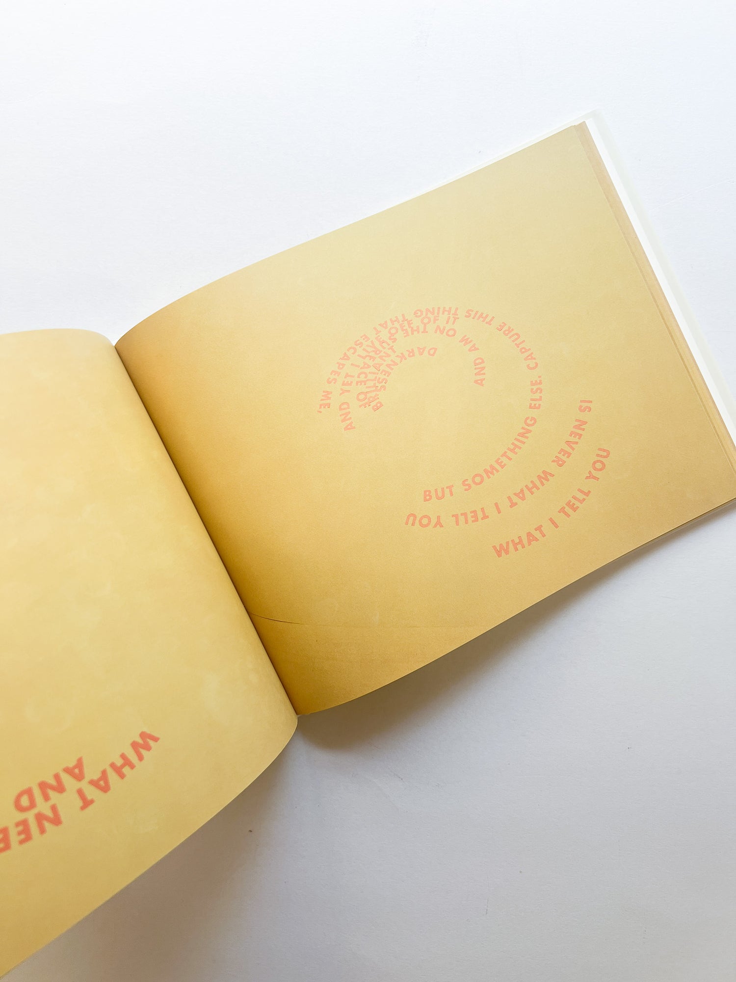 RINGS OF LISPECTOR (AGUA VIVA) / Roni Horn