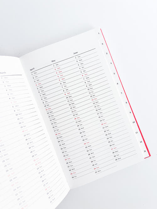 KASAI Kaoru Diary 2027 (Red)