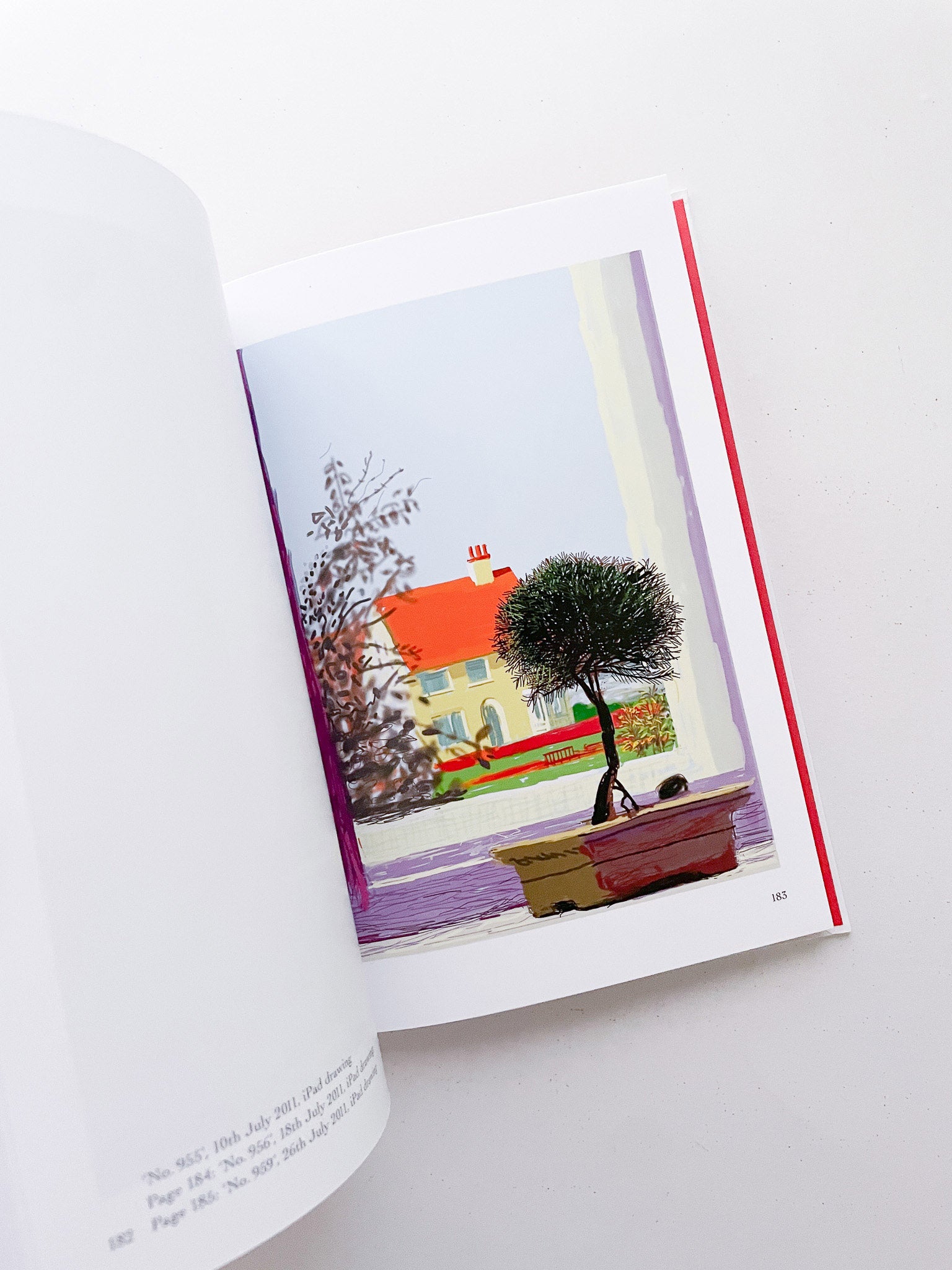My Window / David Hockney - 本屋青旗 Ao-Hata Bookstore