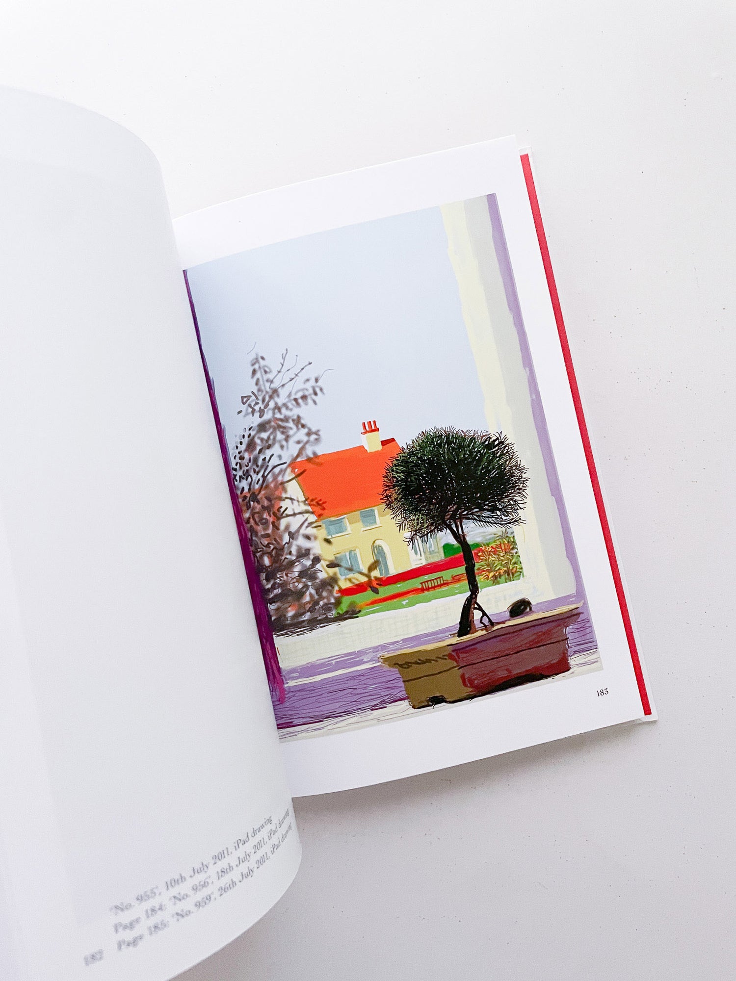 My Window / David Hockney