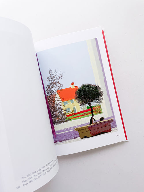 My Window / David Hockney