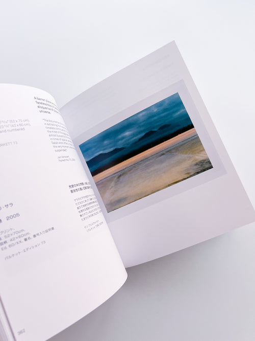 ARTISTS' EDITIONS FOR PARKETT: 200 ART WORKS 25 YEARS