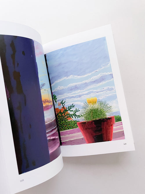 My Window / David Hockney