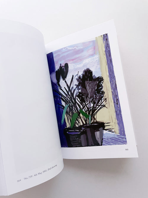 My Window / David Hockney