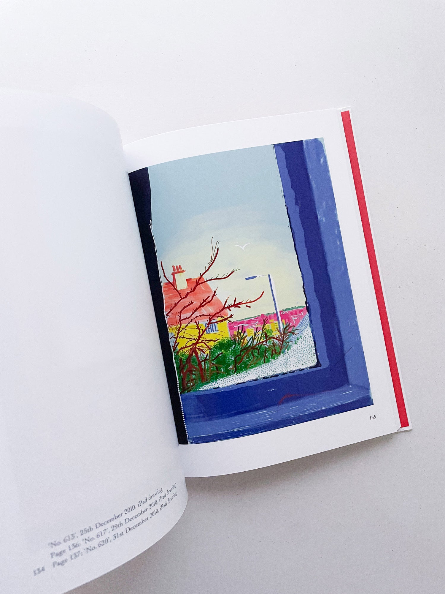 My Window / David Hockney