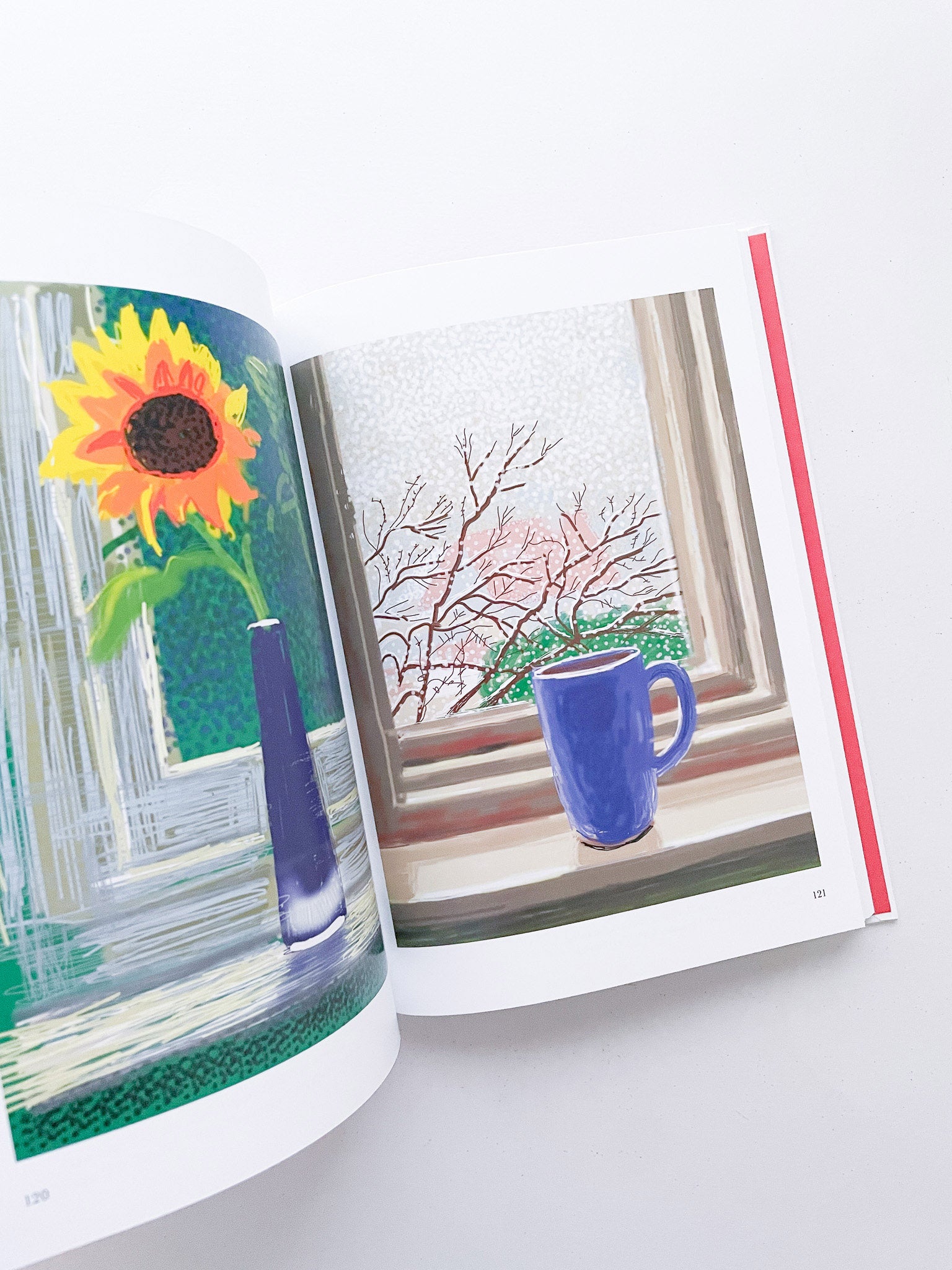 My Window / David Hockney - 本屋青旗 Ao-Hata Bookstore