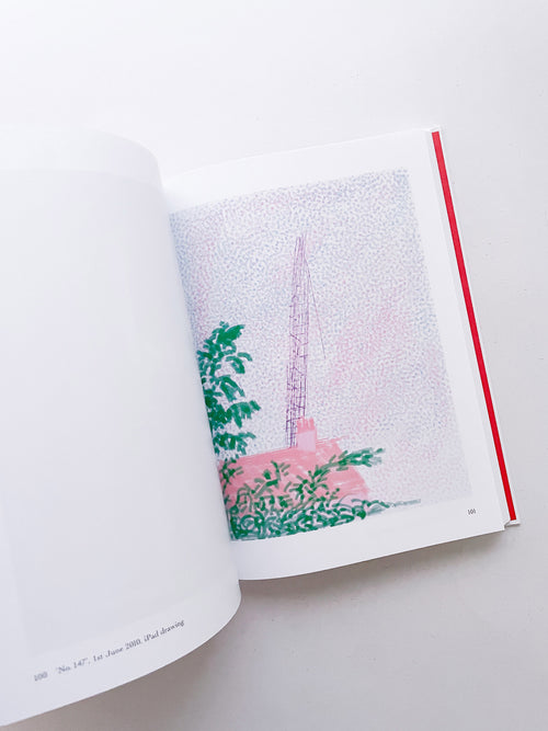 My Window / David Hockney