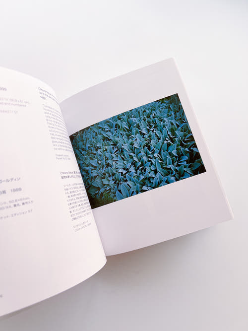 ARTISTS' EDITIONS FOR PARKETT: 200 ART WORKS 25 YEARS