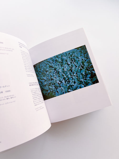 ARTISTS' EDITIONS FOR PARKETT: 200 ART WORKS 25 YEARS