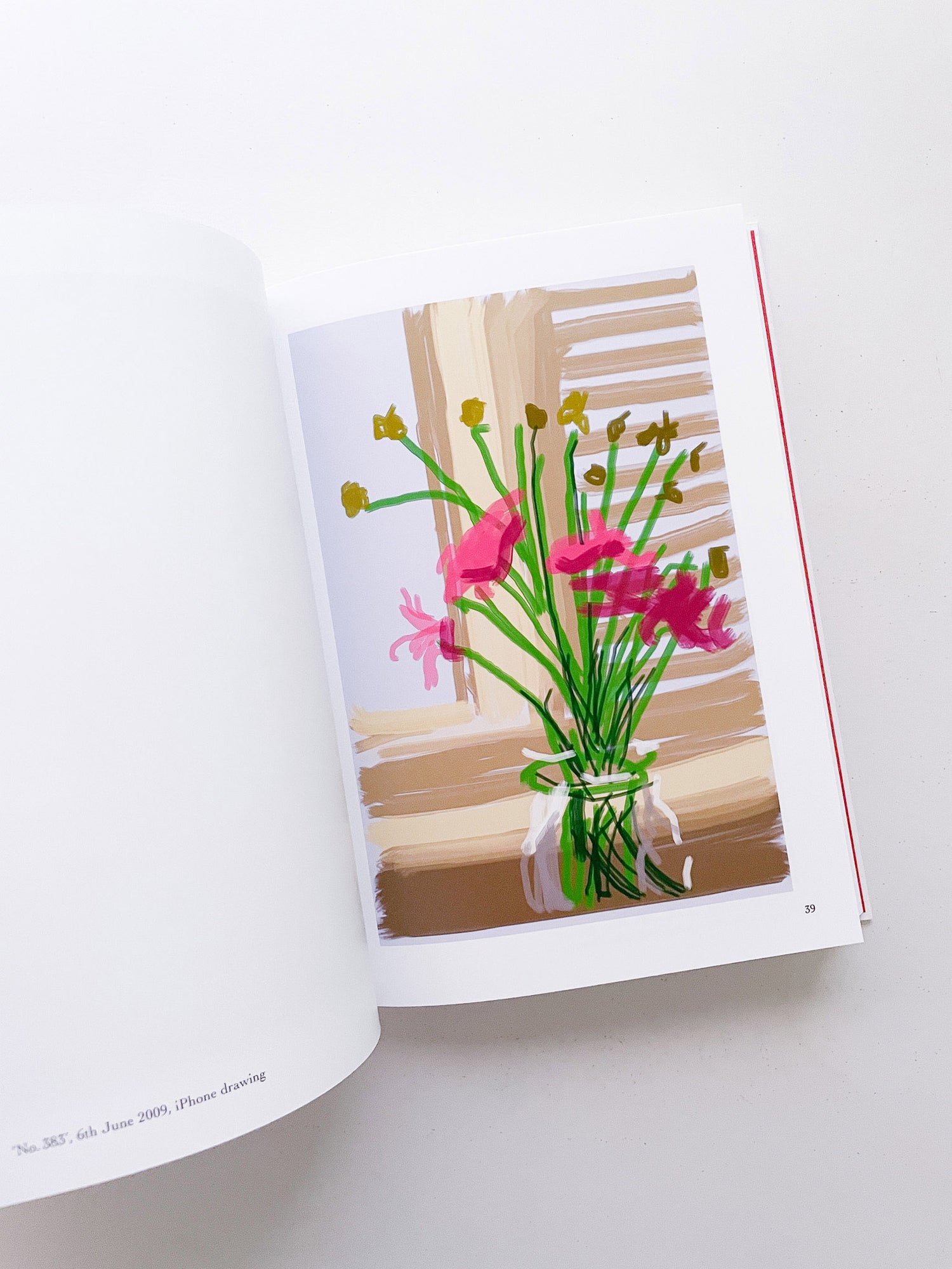 My Window / David Hockney