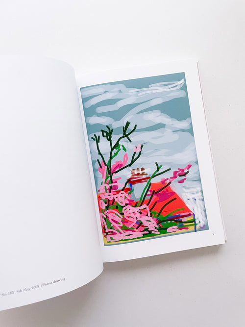 My Window / David Hockney