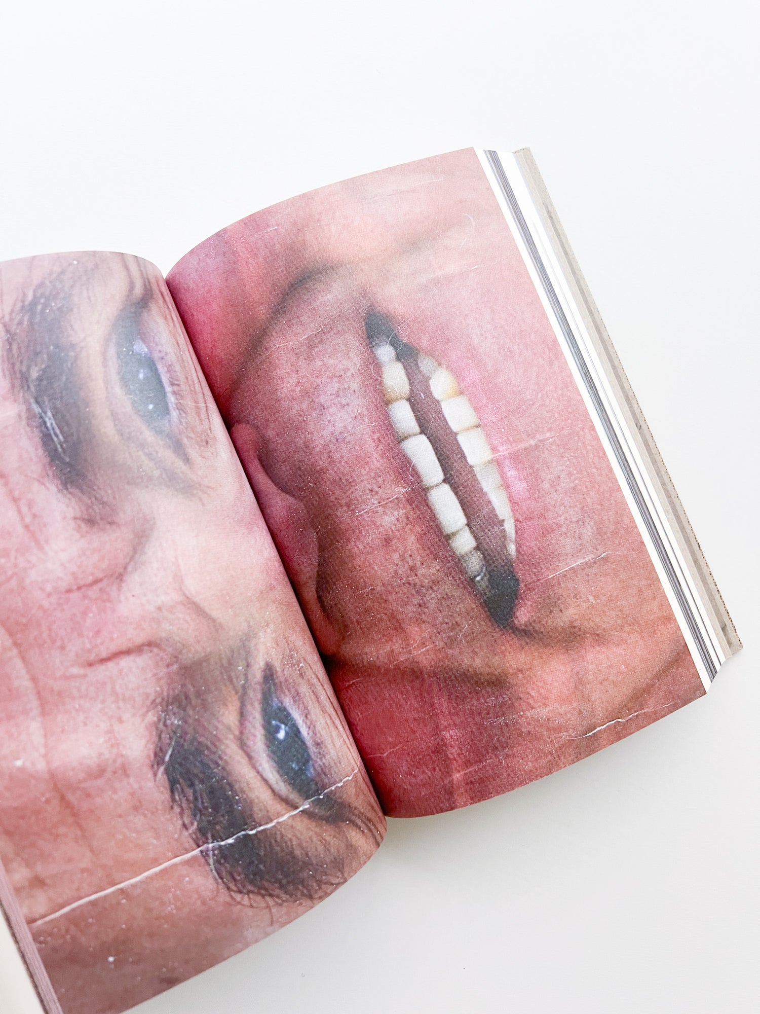 Hoarder Order / Thomas Kuijpers