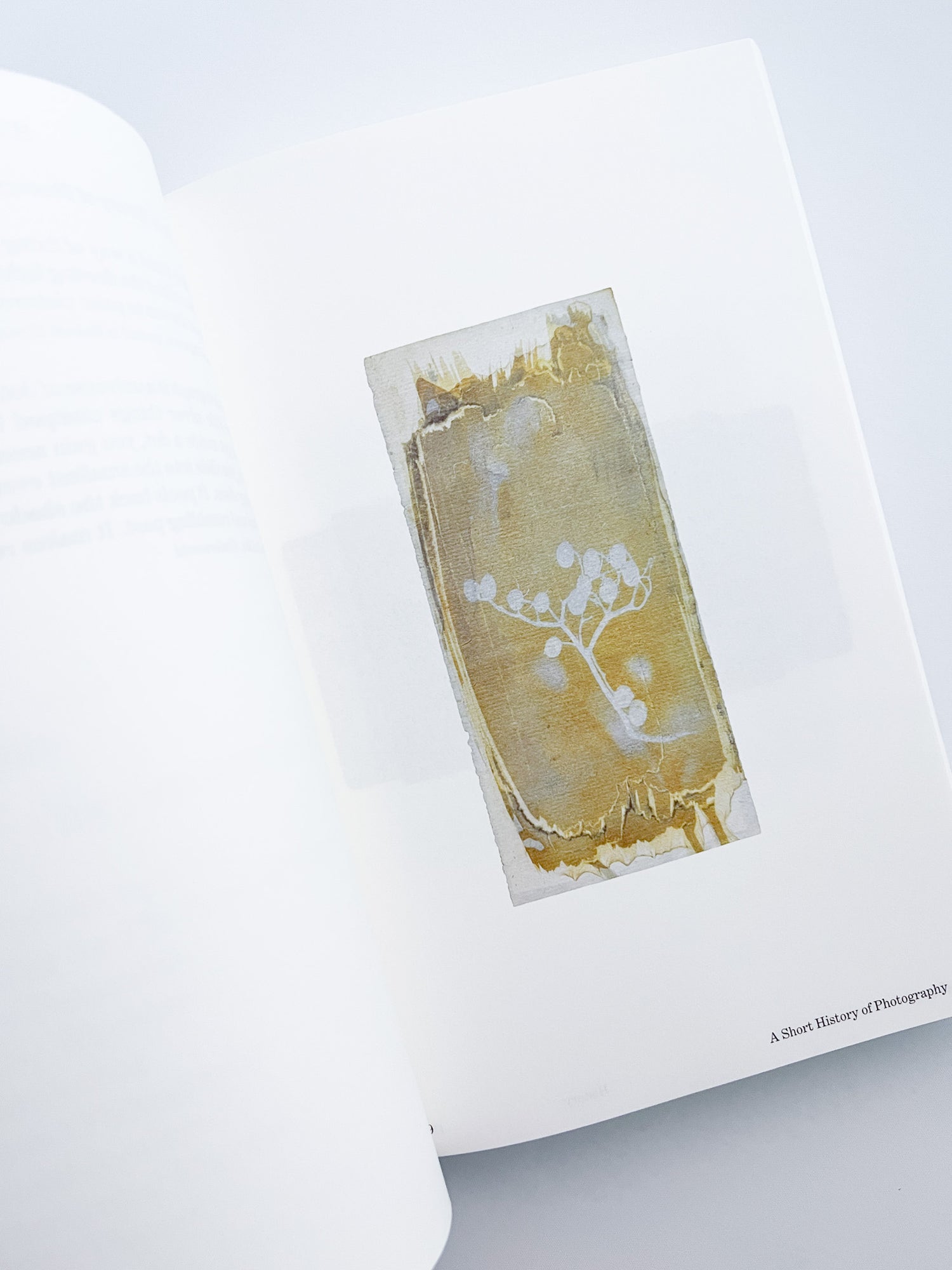 Photology / Arjan de Nooy