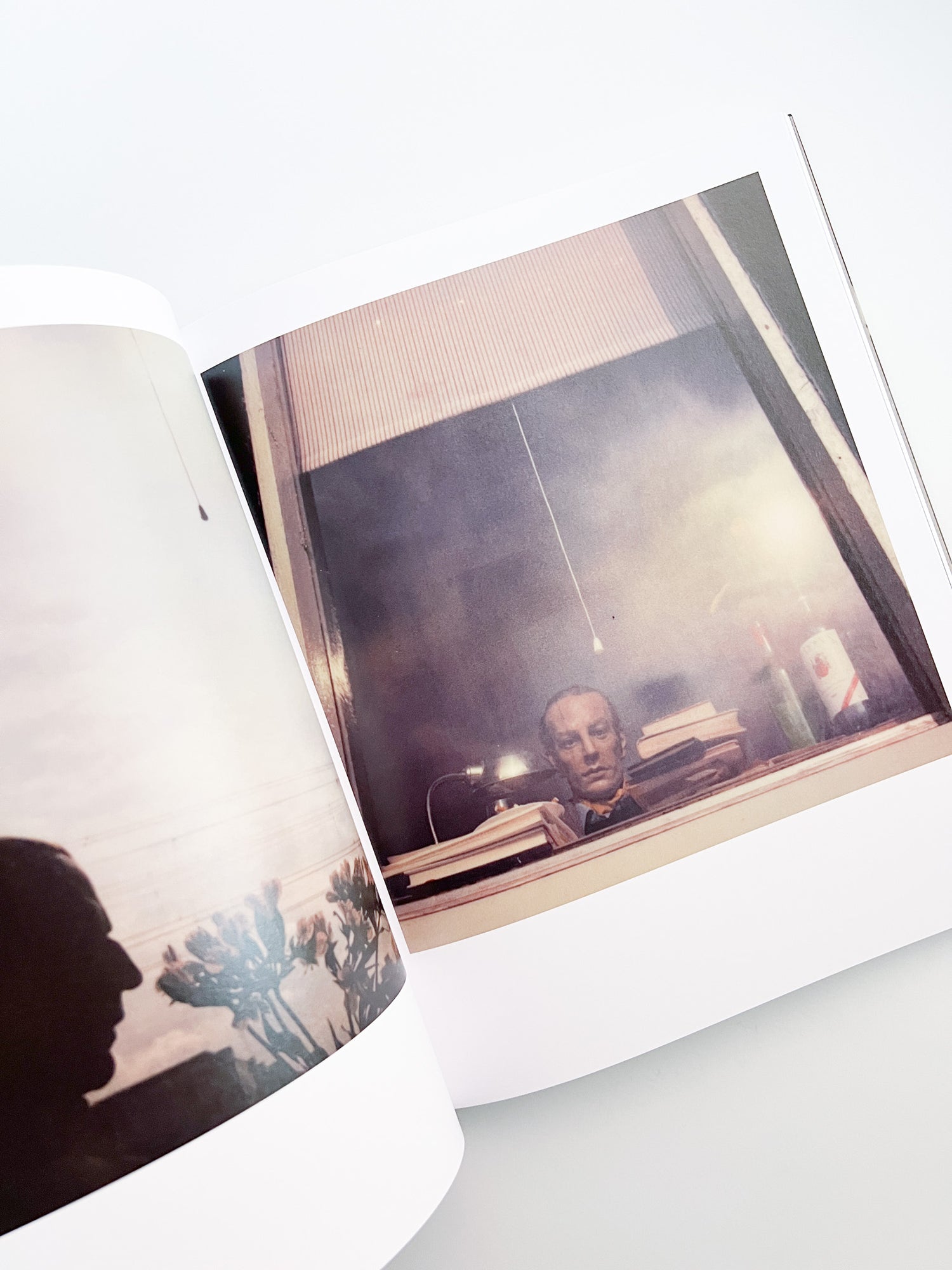 The Imaginary Friend / Anne Mieke Backer, Pieter van Oudheusden