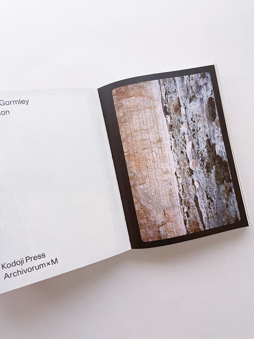 FORMATION / Antony Gormley