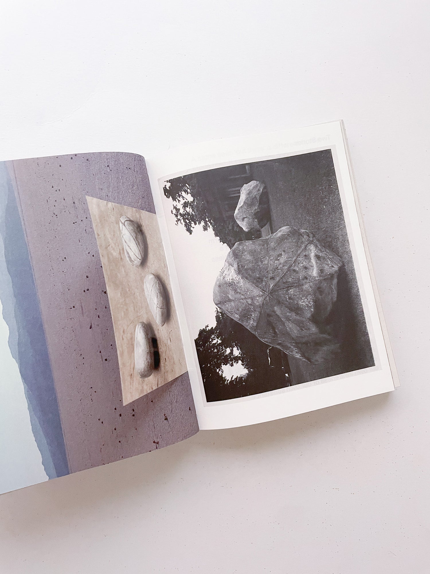 FORMATION / Antony Gormley