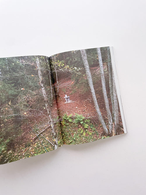 FORMATION / Antony Gormley