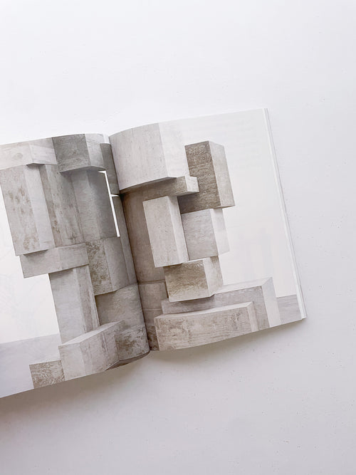 FORMATION / Antony Gormley