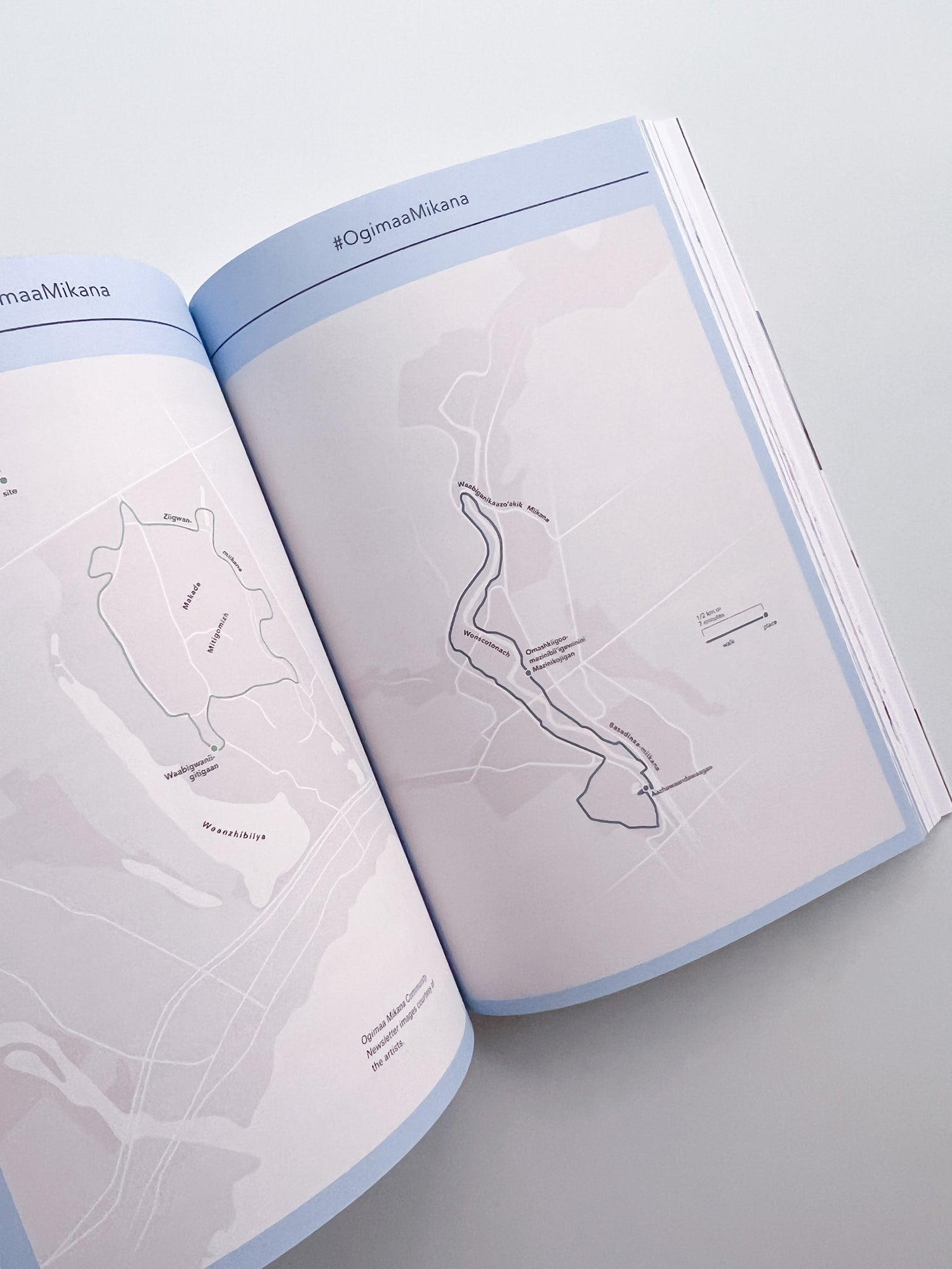 Diagrams of Power – Visualizing, Mapping, and Performing Resistance