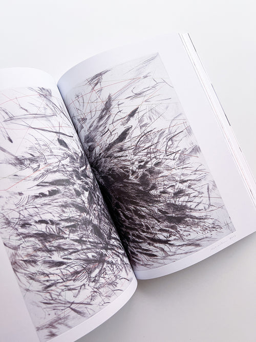 Diagrams of Power – Visualizing, Mapping, and Performing Resistance