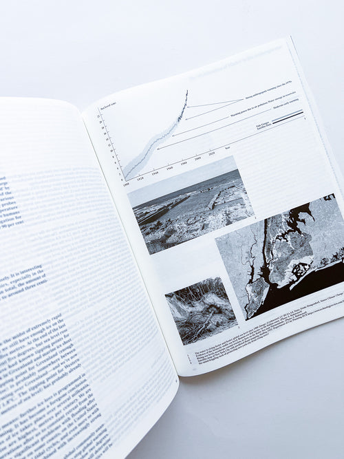 Blind Date with the Future / Stefanie Zoche, Haubitz + Zoche