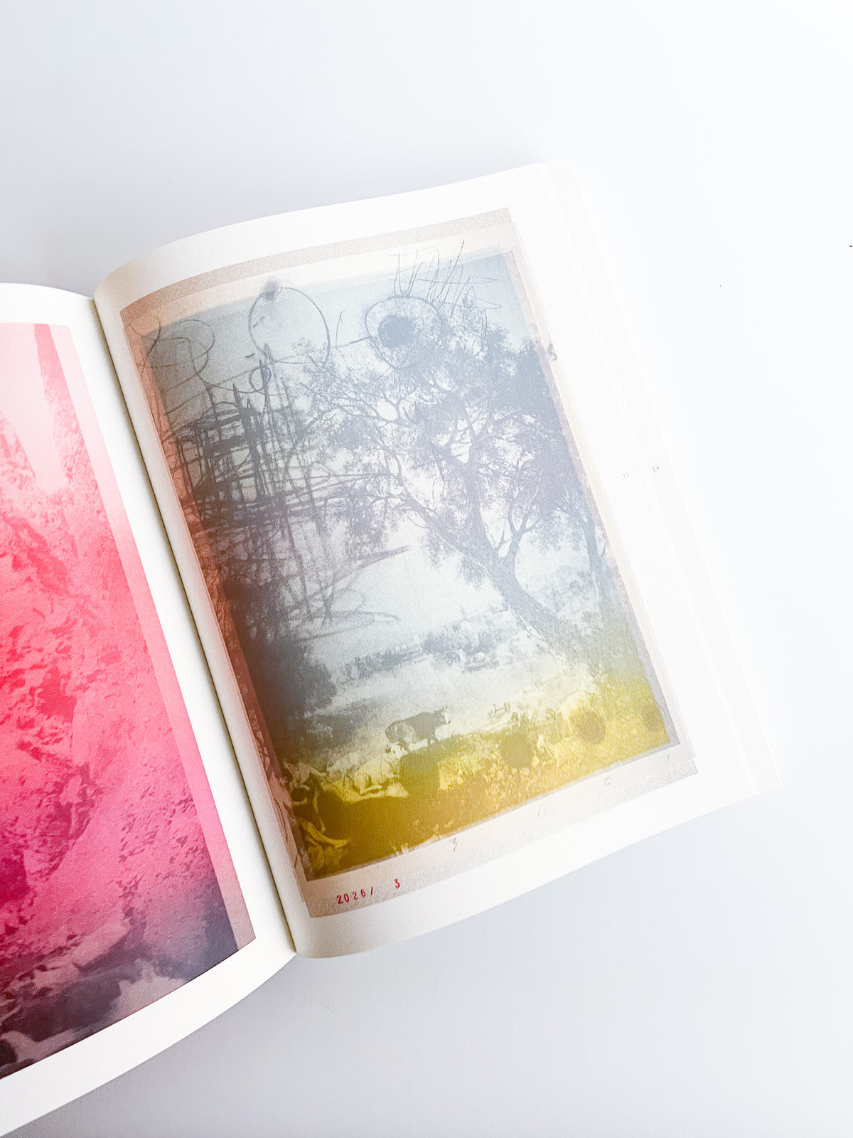 APOPHENIA VOLUME 03: In Medias Res / Julie Wolfe