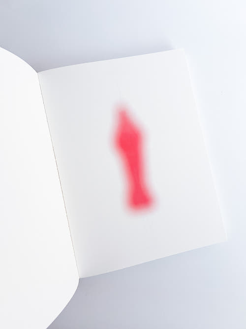 APOPHENIA VOLUME 03: In Medias Res / Julie Wolfe