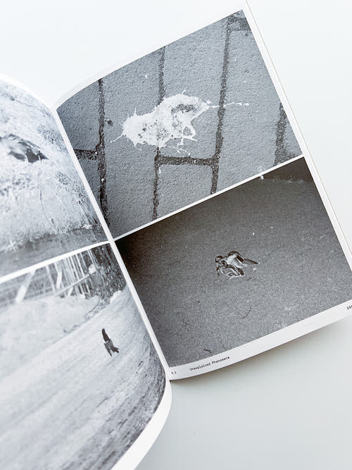 Ornithology (new edition) / Anne Geene & Arjan De Nooy