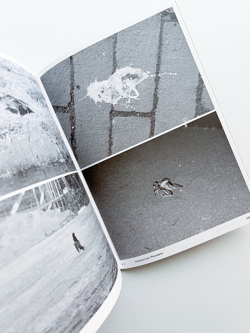 Ornithology (new edition) / Anne Geene & Arjan De Nooy