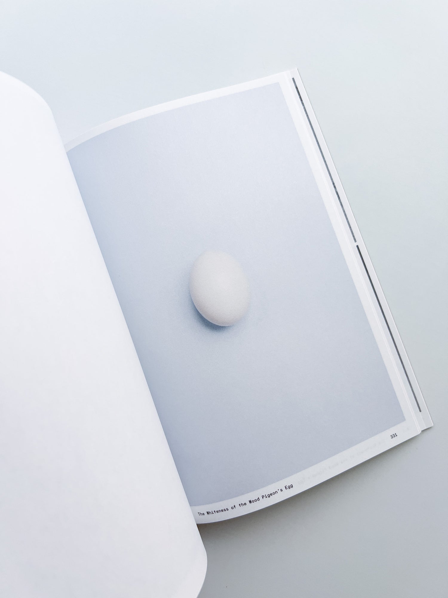 Ornithology (new edition) / Anne Geene & Arjan De Nooy