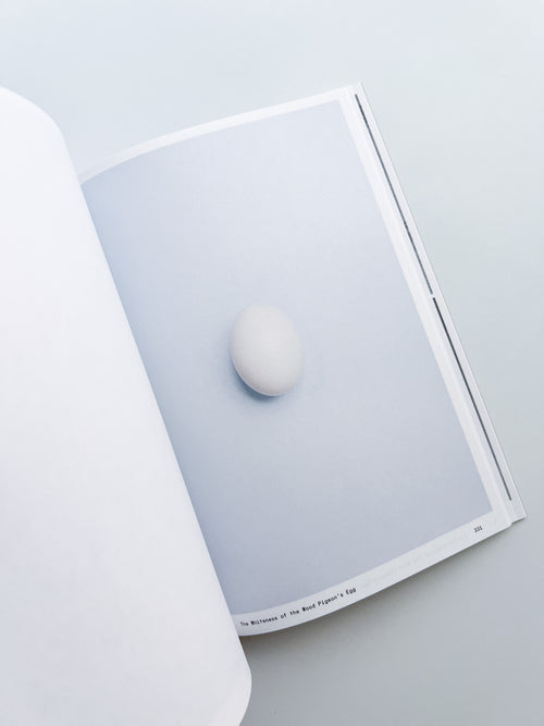 Ornithology (new edition) / Anne Geene & Arjan De Nooy