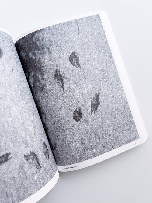 Ornithology (new edition) / Anne Geene & Arjan De Nooy