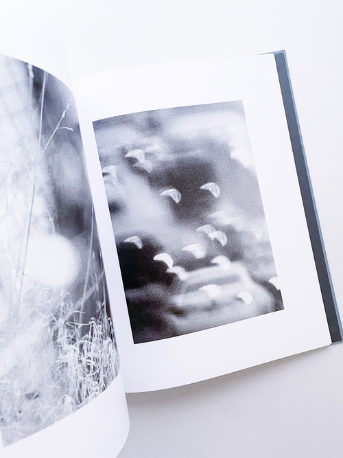 DISTRIBUTION / Daniel Shea [SIGNED]