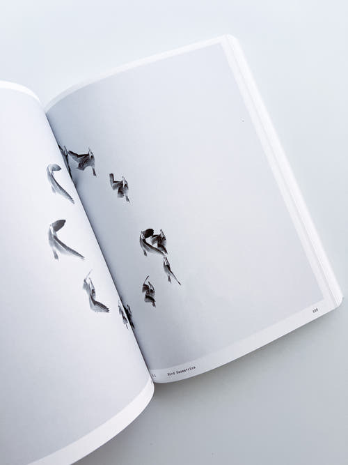 Ornithology (new edition) / Anne Geene & Arjan De Nooy