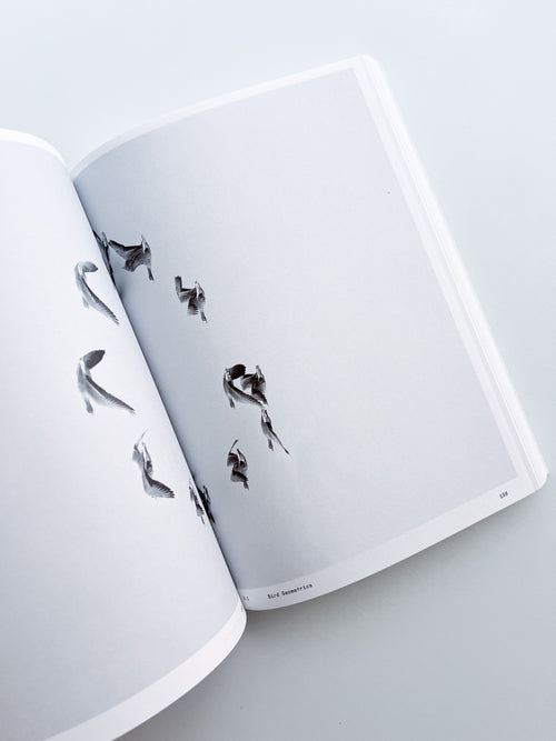 Ornithology (new edition) / Anne Geene & Arjan De Nooy