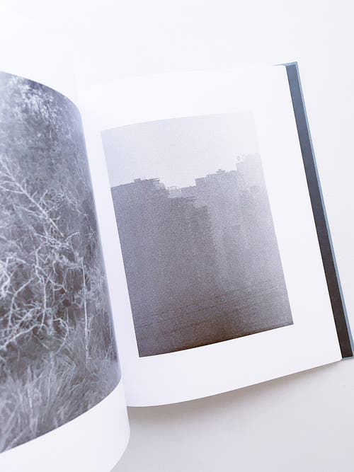 DISTRIBUTION / Daniel Shea [SIGNED]