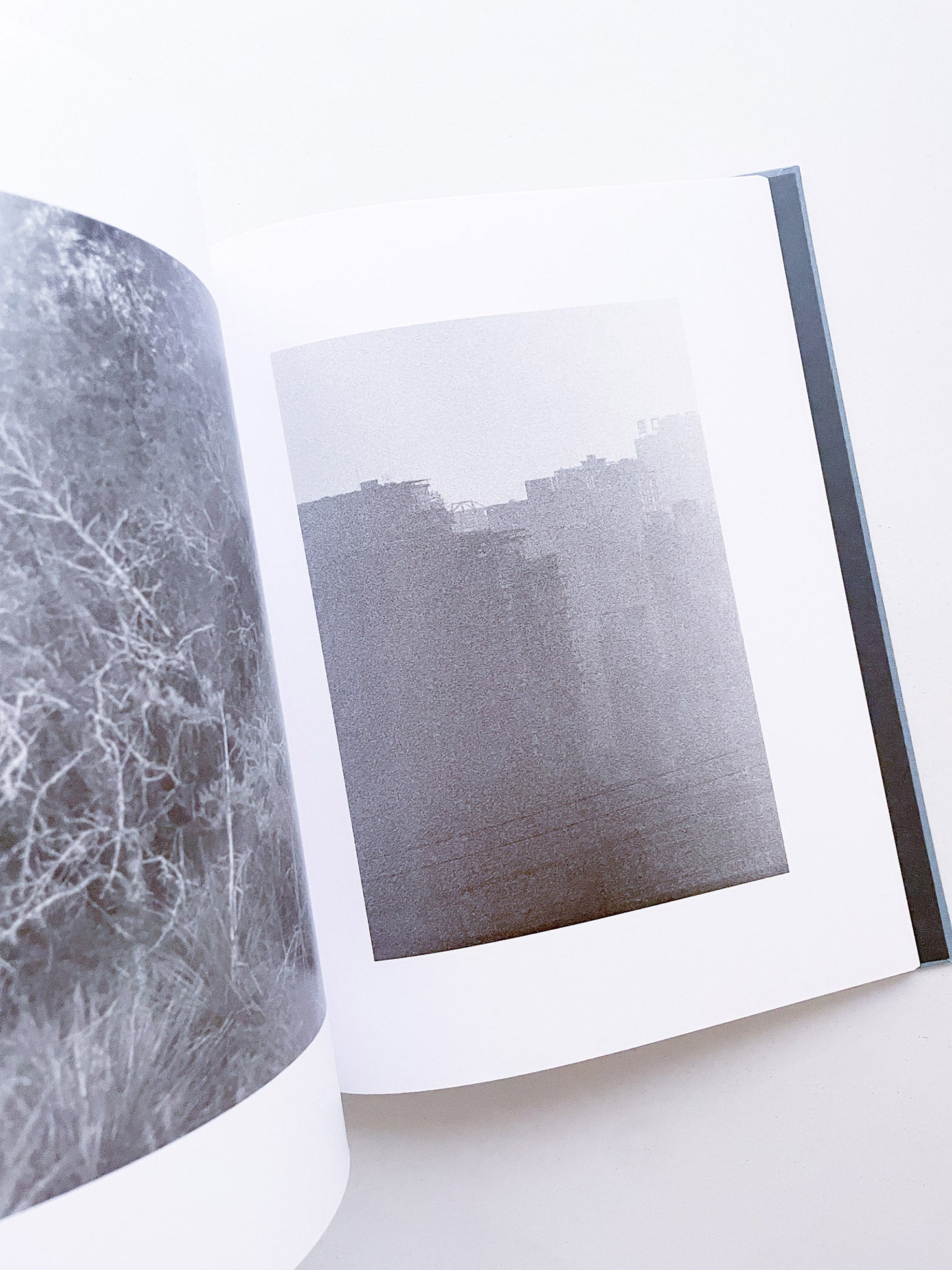 DISTRIBUTION / Daniel Shea [SIGNED]