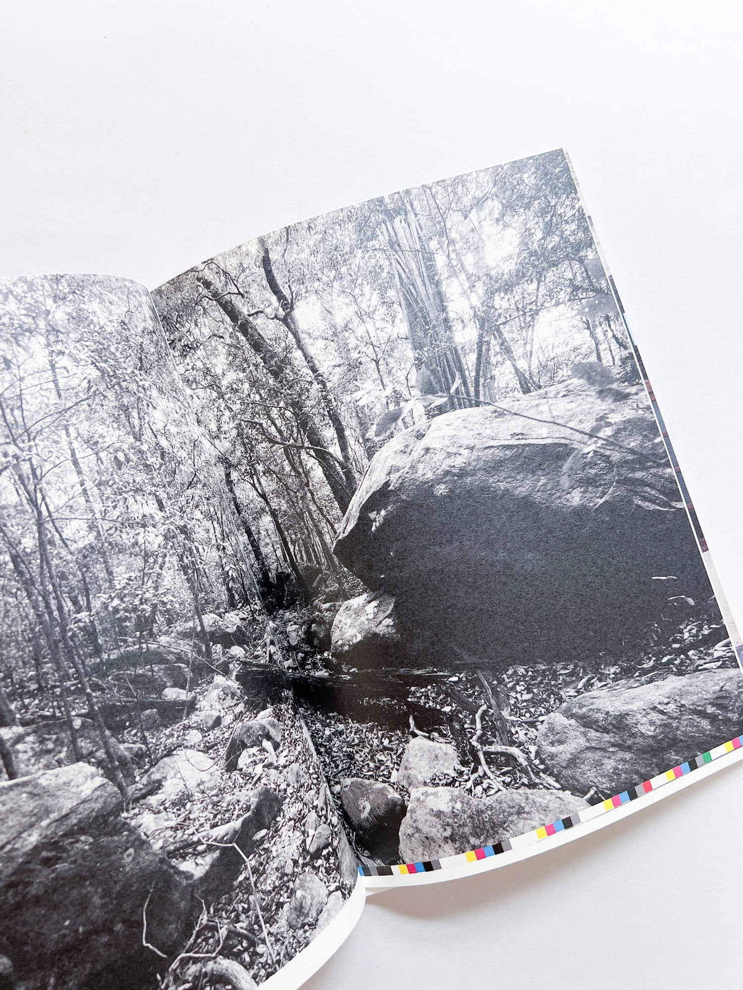 WERK No.34: DOORNBERG GALLE 1712 SRI LANKA [SIGNED]